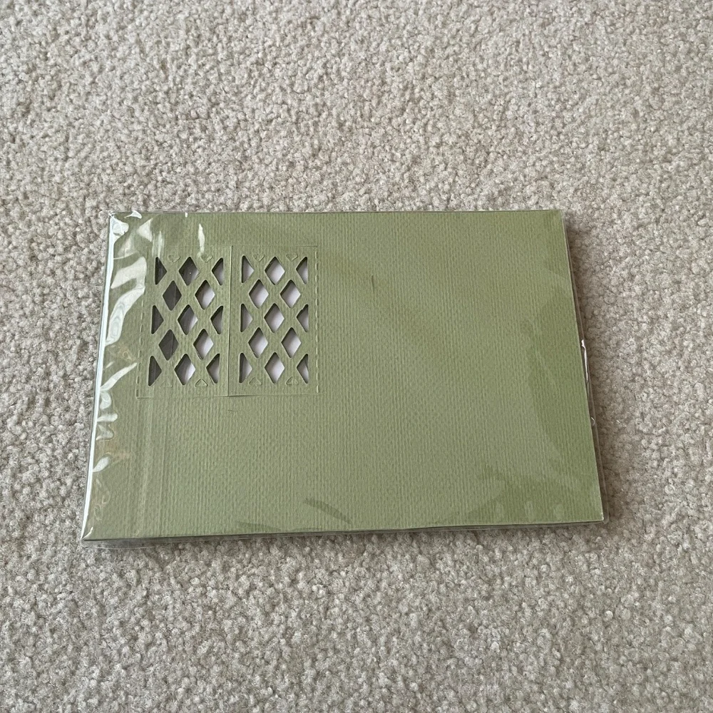 Set of 10 Cards & Envelopes Windows Lattice Shutters Green Blank Make Your Own N